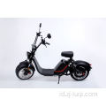 Fat Tire Dewasa Lion Electric Scooter
